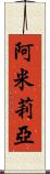 Amilia Scroll