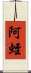 阿蛭 Scroll