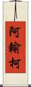 阿輸柯 Scroll