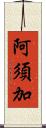 阿須加 Scroll