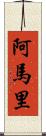 Aamari Scroll