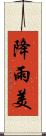 降雨美 Scroll