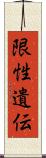 限性遺伝 Scroll