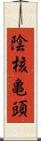 陰核亀頭 Scroll