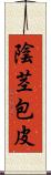 陰茎包皮 Scroll