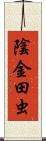 陰金田虫 Scroll