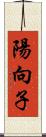 陽向子 Scroll