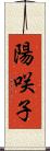 陽咲子 Scroll