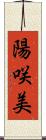 陽咲美 Scroll