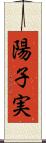 陽子実 Scroll