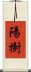 陽樹 Scroll