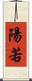 陽若 Scroll