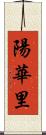 陽華里 Scroll