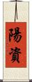陽資 Scroll