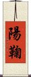 陽鞠 Scroll