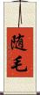 随毛 Scroll