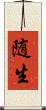 随生 Scroll