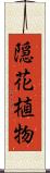 隠花植物 Scroll