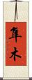 隼木 Scroll