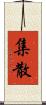 集散 Scroll