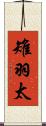 雉羽太 Scroll