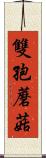 雙孢蘑菇 Scroll