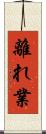 離れ業 Scroll