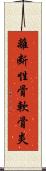 離断性骨軟骨炎 Scroll