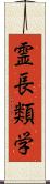 霊長類学 Scroll