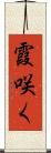 霞咲く Scroll