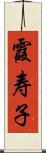 霞寿子 Scroll
