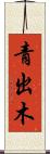 青出木 Scroll