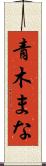 青木まな Scroll