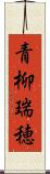 青柳瑞穂 Scroll