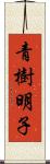 青樹明子 Scroll