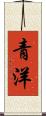 青洋 Scroll