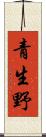 青生野 Scroll