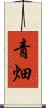青畑 Scroll