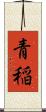青稲 Scroll