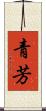 青芳 Scroll