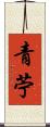青苧 Scroll