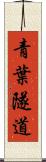 青葉隧道 Scroll