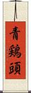 青鶏頭 Scroll