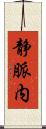 静脈内 Scroll