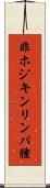 非ホジキンリンパ腫 Scroll