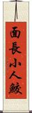 面長小人鮫 Scroll