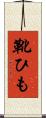 靴ひも Scroll