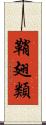 鞘翅類 Scroll
