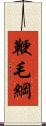 鞭毛綱 Scroll