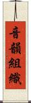 音韻組織 Scroll